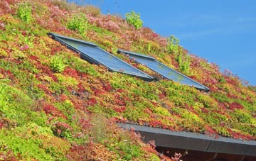 Youlgreave living roof systems